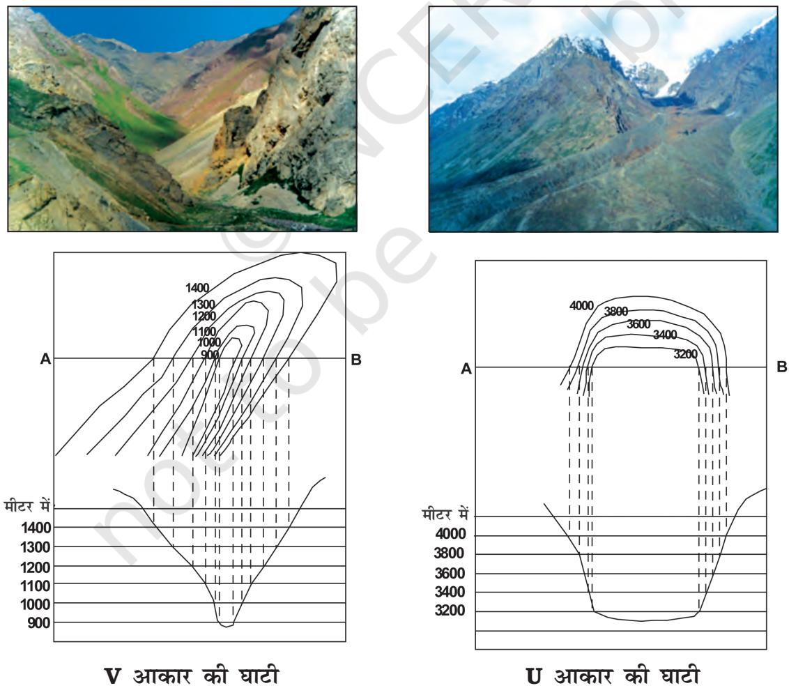 Textbook illustration