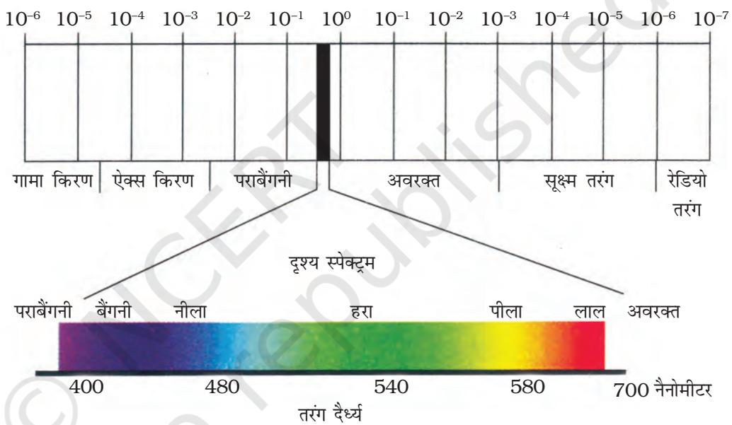 तरंग दैध्य (माइक्रोमीटर)चित्र 6.3 : विद्युत-चुंबकीय स्पेक्ट्रम
