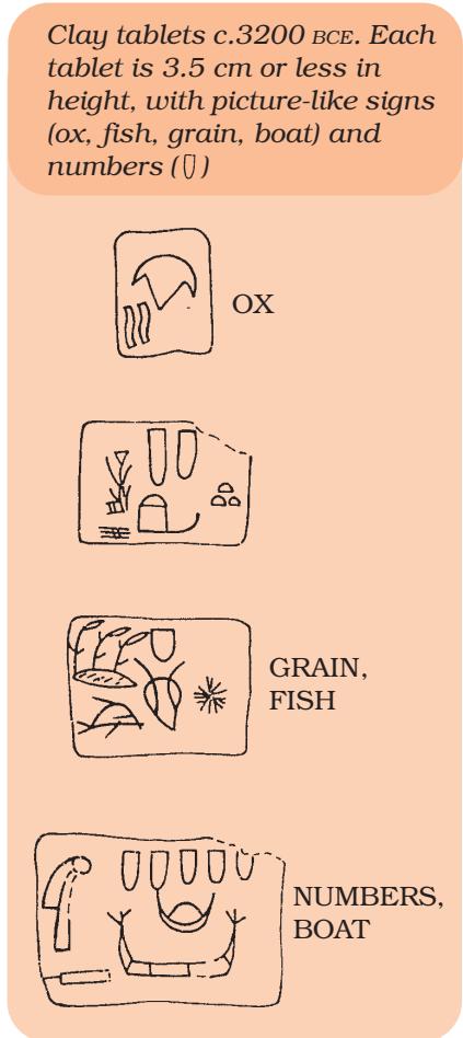 Textbook illustration
