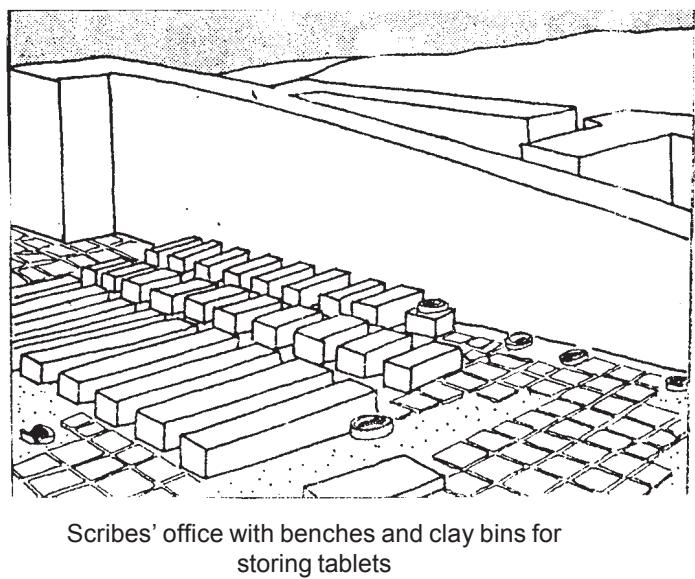Textbook illustration