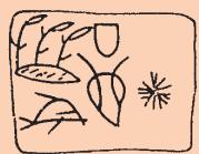 Textbook illustration