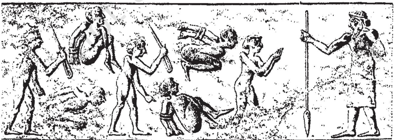 Textbook illustration