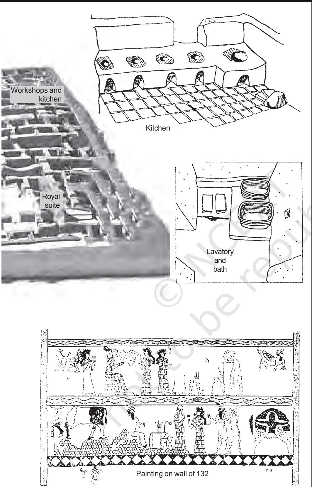 Textbook illustration