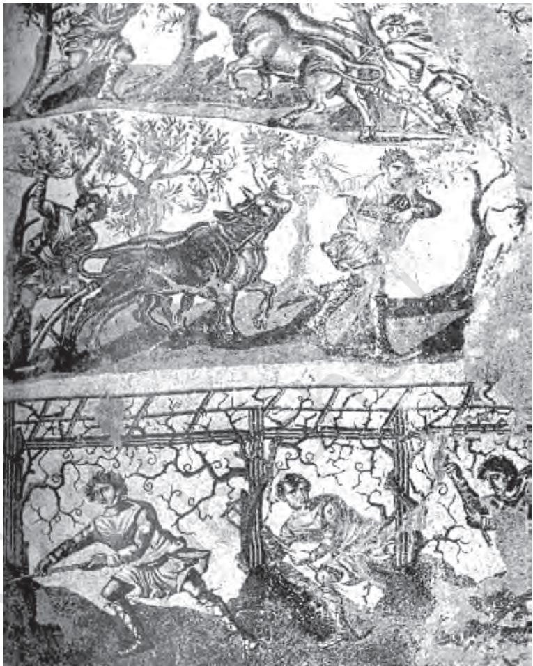 Textbook illustration