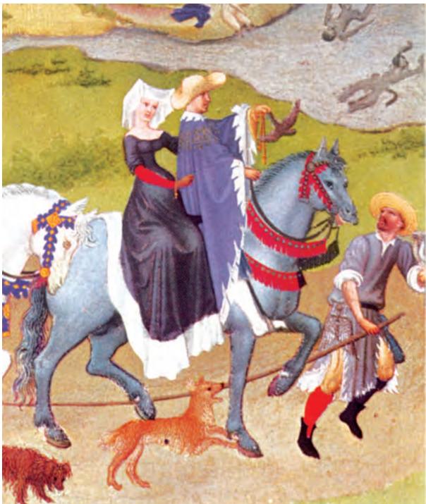 Textbook illustration