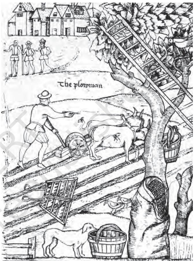 Textbook illustration