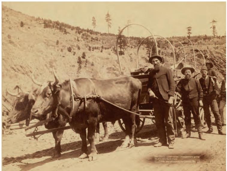 Moving to California as part of the ‘Gold Rush’, photograph.