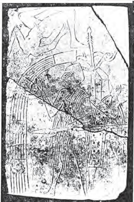 Textbook illustration