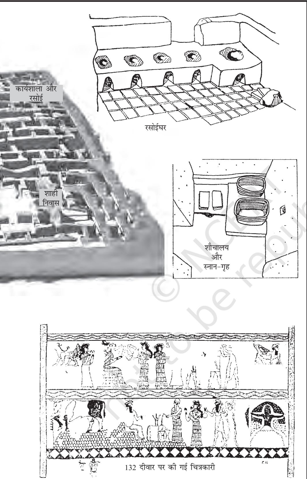 Textbook illustration