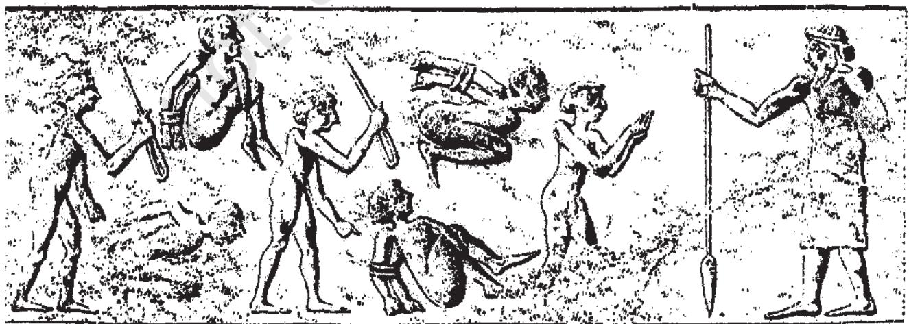 Textbook illustration