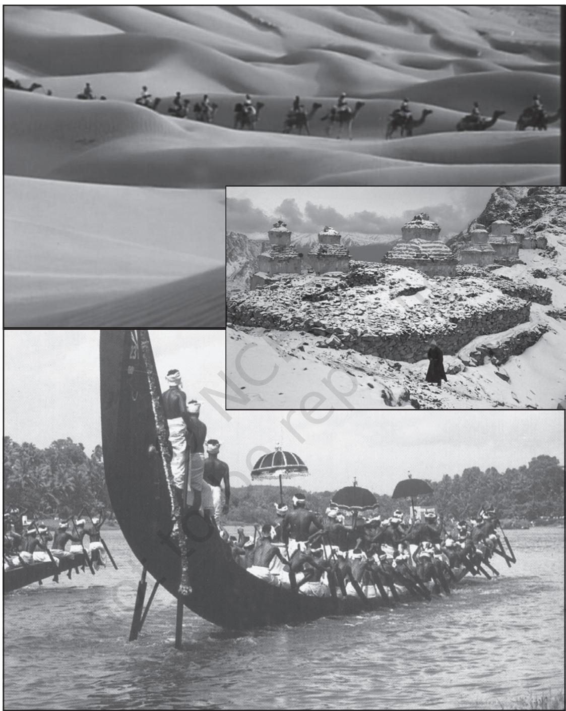 Discuss how natural settings affect culture