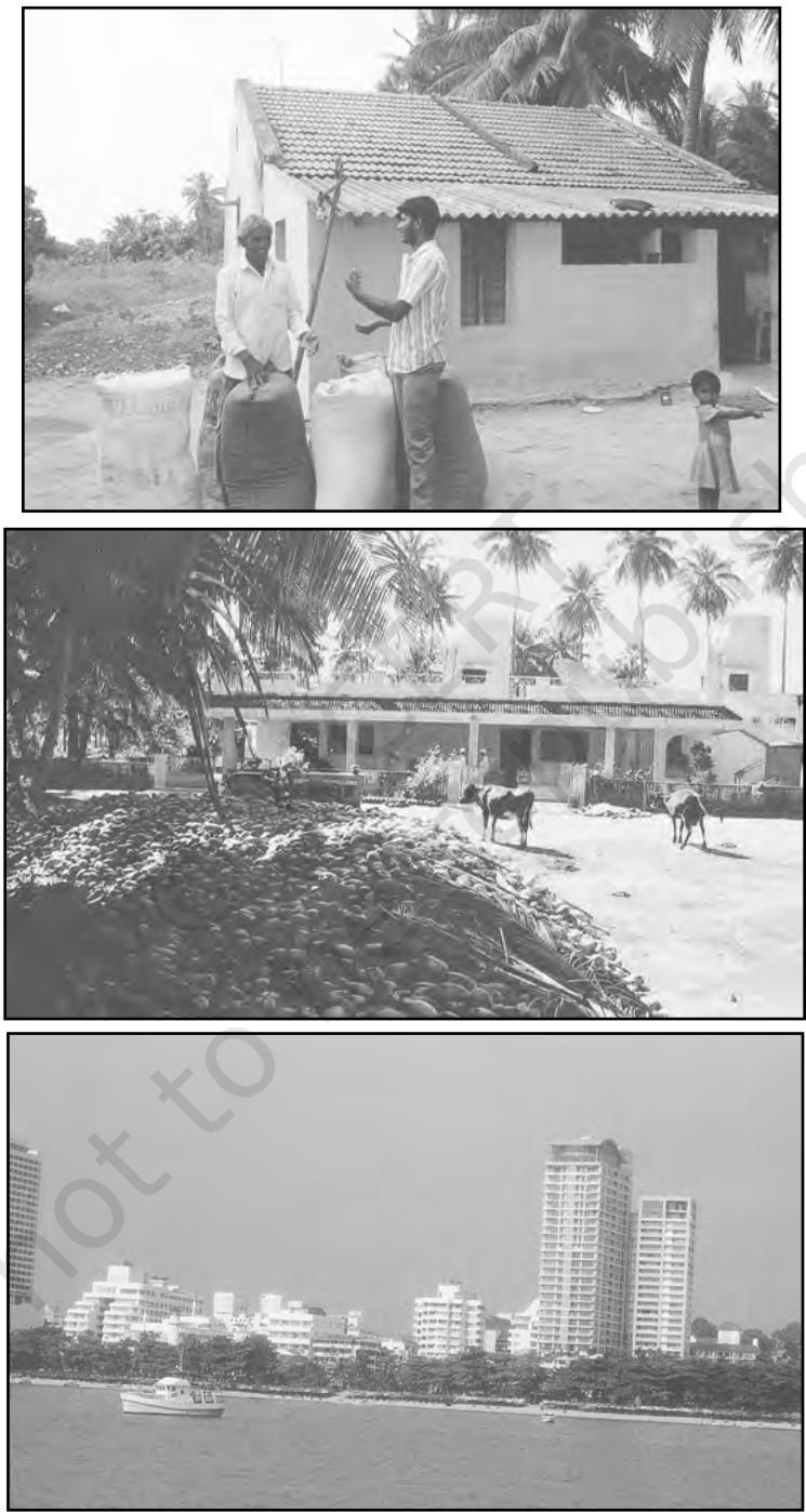 Different types of buildings in rural and urban areas