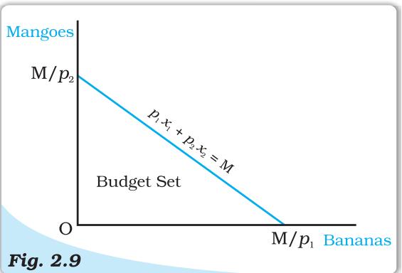 Budget Set. Quantity of bananas is measured along the horizontal axis and quantity of mangoes is measured along the vertical axis. Any point in the diagram represents a bundle of the two goods. The budget set consists of all points on or below the straight line having the equation   $p_{1}x_{1} + p_{2}x_{2} = M$ .
