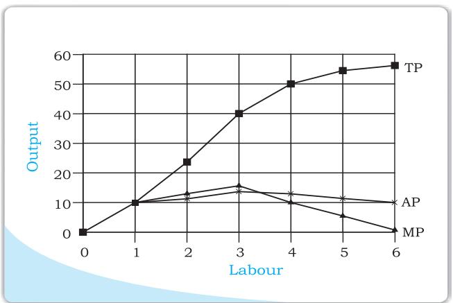 Textbook illustration