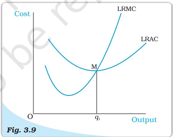 Long Run Costs. Long run marginal cost and average cost curves.
