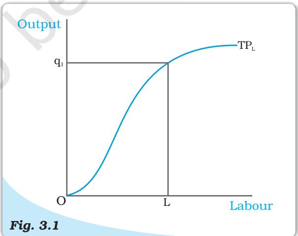 Total Product. This is a total product curve for labour. When all other inputs are held constant, it shows the different output levels obtainable from different units of labour.