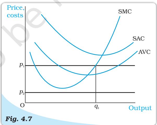 Market Price Values. The figure shows the output levels chosen by a profit-maximising firm in the short run for two values of the market price:   $p_{1}$  and   $p_{2}$ . When the market price is   $p_{1}$ , the output level of the firm is   $q_{1}$ ; when the market price is   $p_{2}$ , the firm produces zero output.