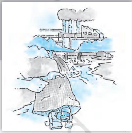 Textbook illustration