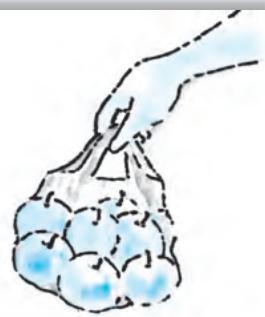 Textbook illustration