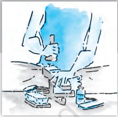 Textbook illustration