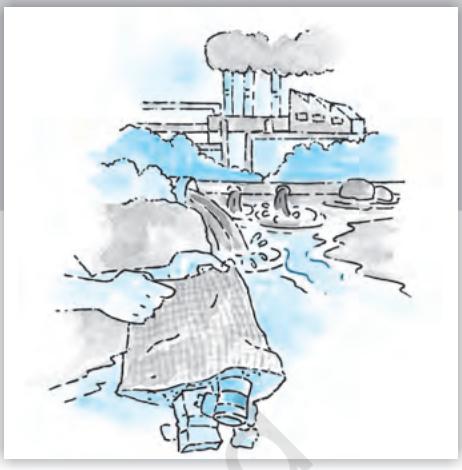 Textbook illustration