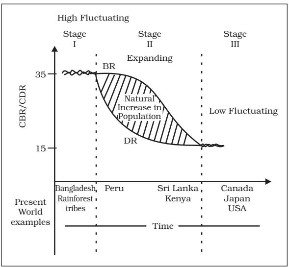 Fig. 2.2: Demographic Transition Theory
