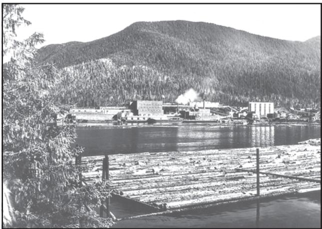 Fig. 5.6: A pulp mill in the heart of the Ketchikan's timber area of Alaska