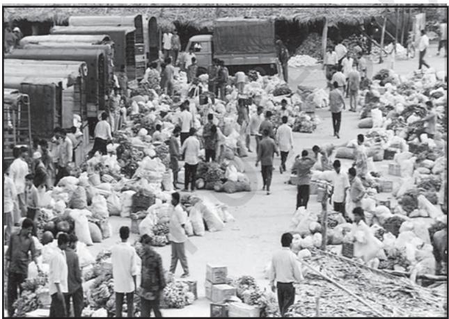 Fig. 6.2: A Wholesale Vegetable Market