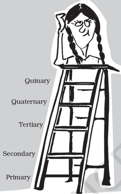 Textbook illustration