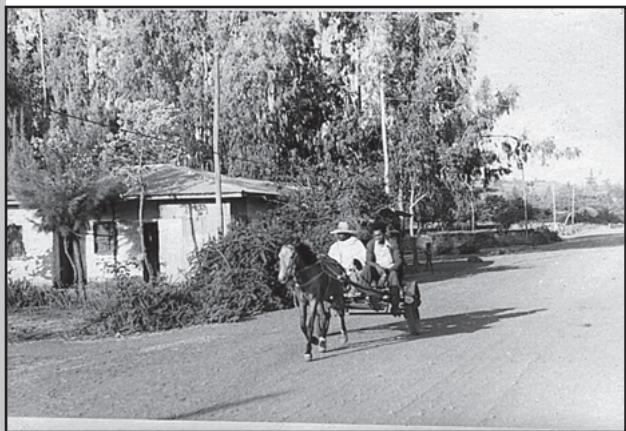 Fig. 7.2: A horse cart in a village Tefki, in Ethiopia