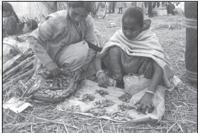 Fig. 8.1: Two women practising barter system in Jon Beel Mela