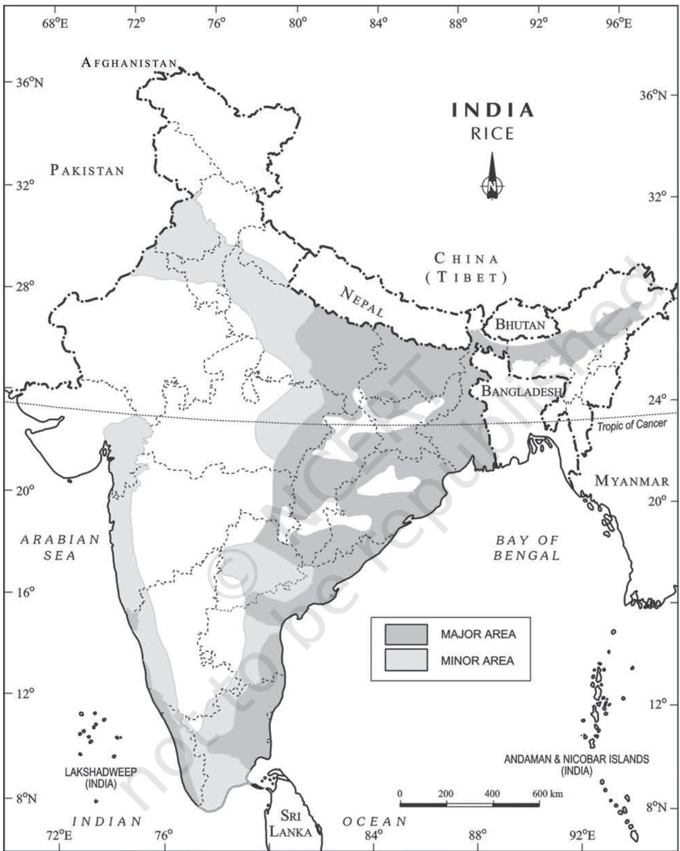 Fig. 3.3 : India - Distribution of Rice
