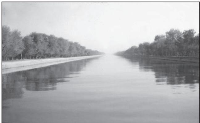 Fig. 6.4: Indira Gandhi Canal