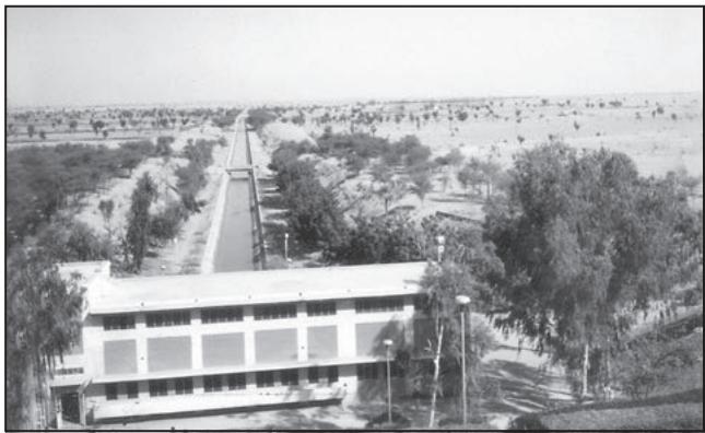 Fig. 6.5 : Indira Gandhi Canal and its adjoining areas
