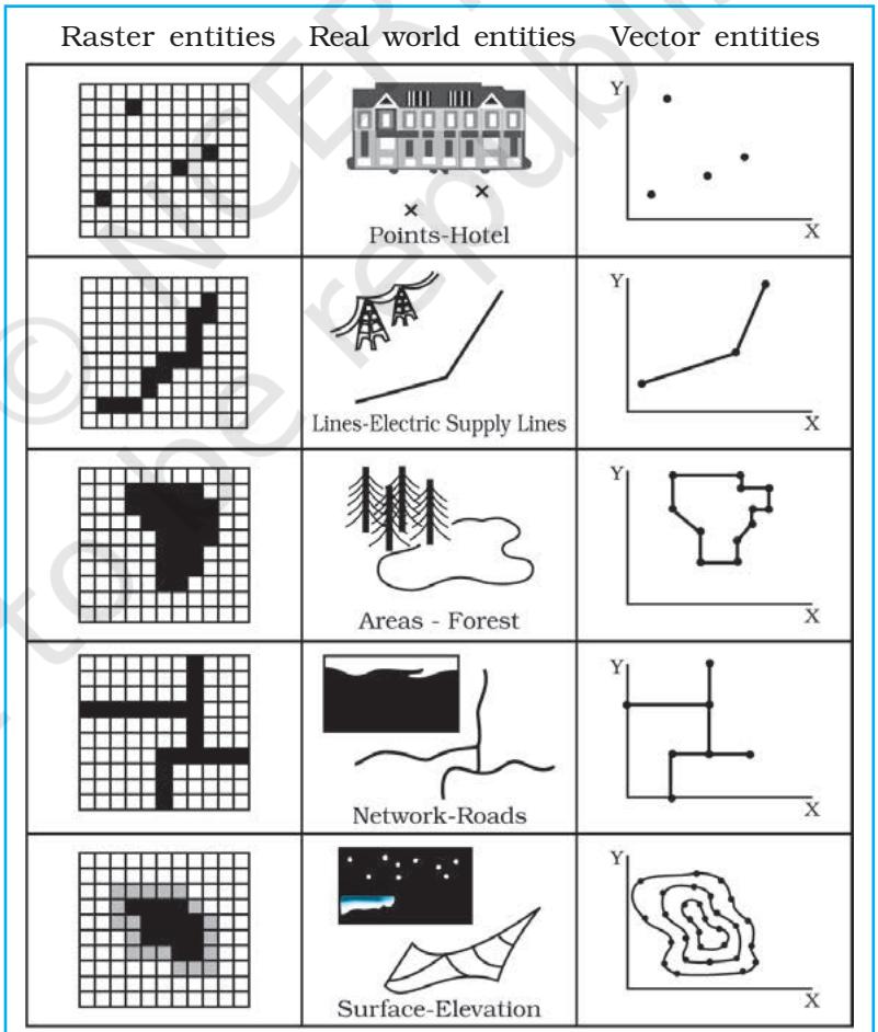 Fig. 4.6 : Representation of Spatial Entities in Raster and Vector Data Formats