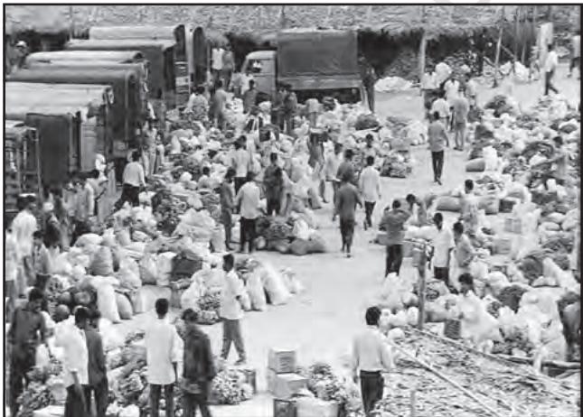 चित्र 6.2 : सब्जियों का थोक बाज्ञार