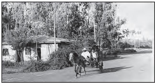 चित्र 7.2 : इशियोषिया के गाँव तेफकी में घोड़ागाड़ी