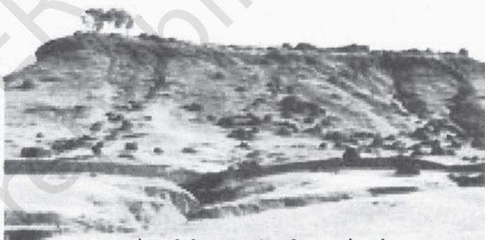 रालेगॉन सिद्धि जल संभर विकास से पूर्व