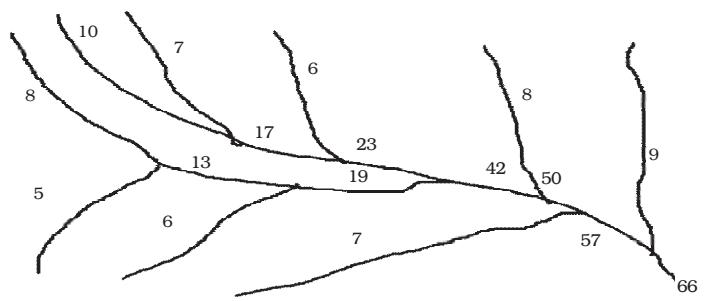 Textbook illustration