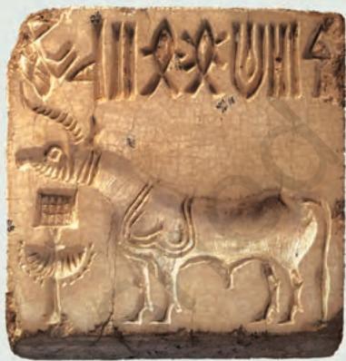 Fig. 1.1 A Harappan seal