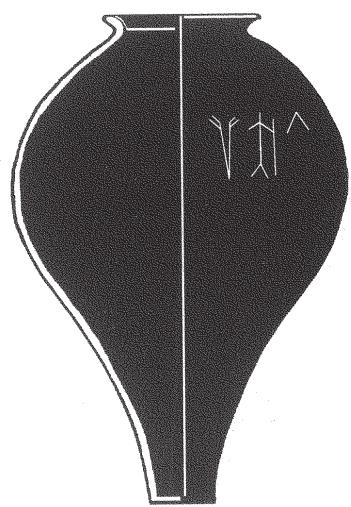 Fig. 1.17 A Harappan jar found in Oman
