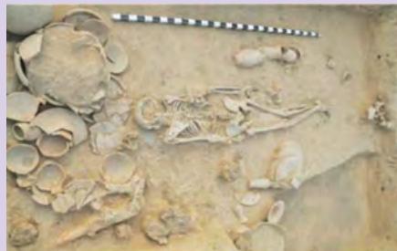 Harappan skeletal remains from Rakhigarhi - DNA was extracted from this skeleton.