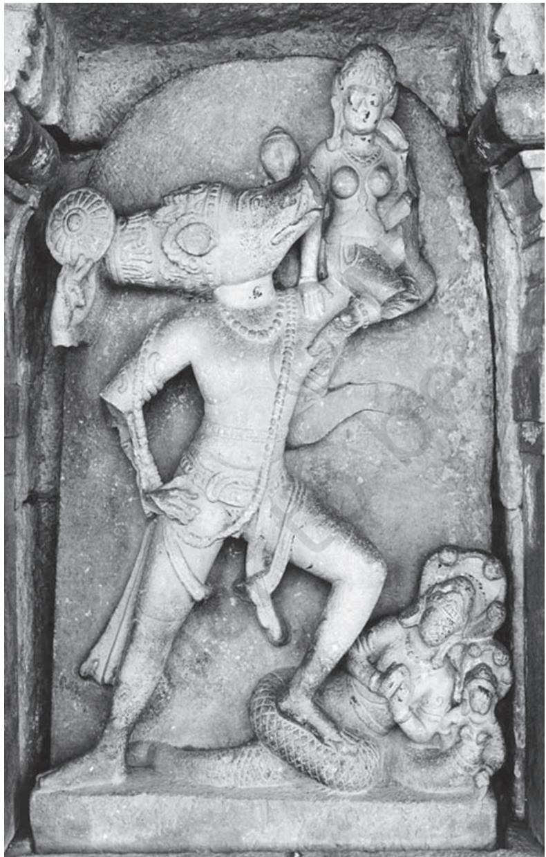 Textbook illustration