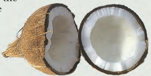 Fig. 5.1b
