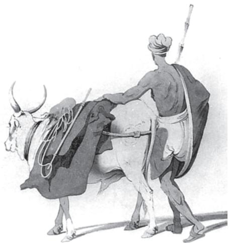 Fig. 5.11
Drawings such as this nineteenth-century example often reinforced the notion of an unchanging rural society.