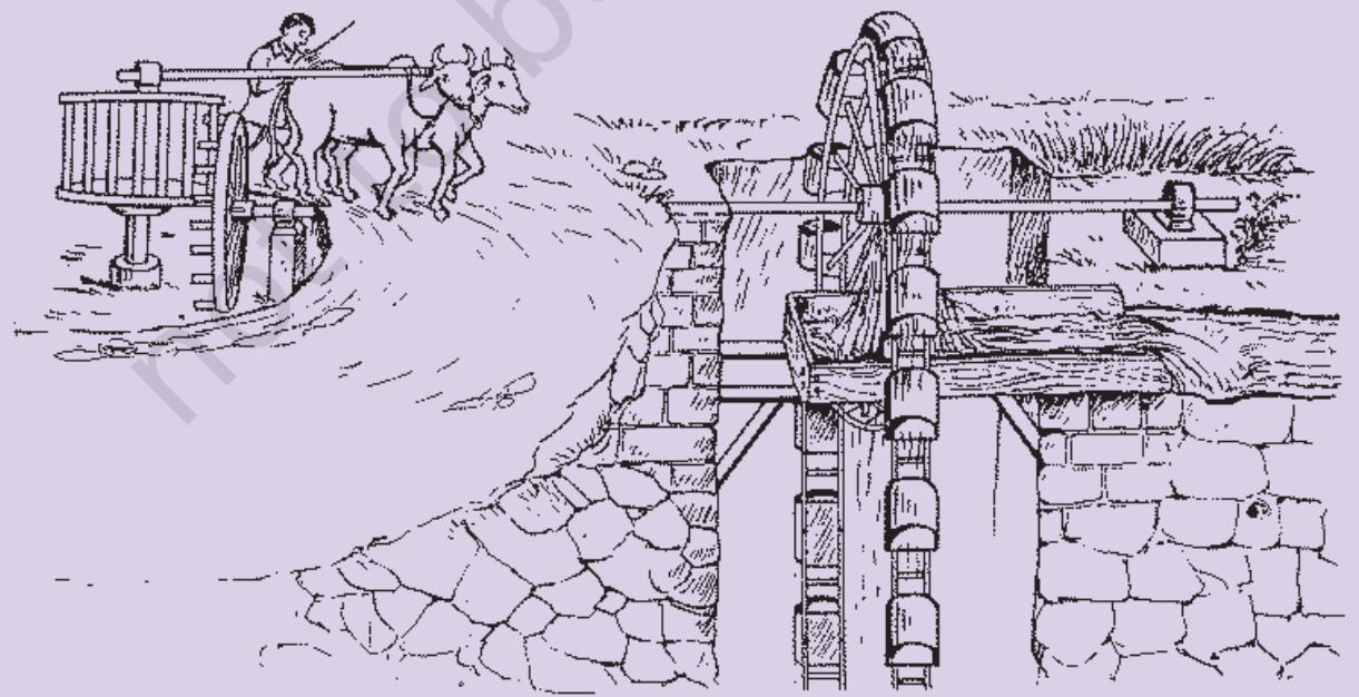 Fig. 8.2
A reconstructed Persian wheel, described here