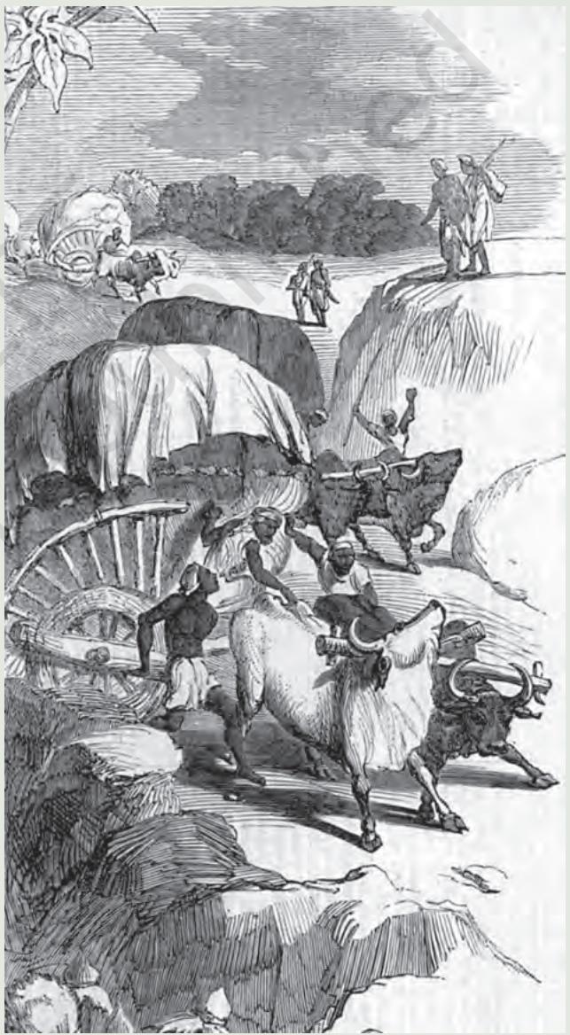 Fig. 9.1
Cotton being carried from the village to the mandi,
Illustrated London News, 20 April 1861