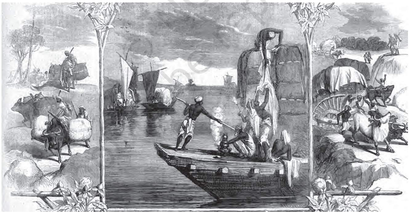 Fig. 9.17
Transporting cotton before the railway era, Illustrated London News, 20 April 1861
When cotton supplies from America were cut off during the Civil War, Britain hoped that India would supply all the cotton that British industries needed. It began assessing the supply, examining the quality of cotton and studying the methods of production and marketing. This interest was reflected in the pages of the Illustrated London News.
