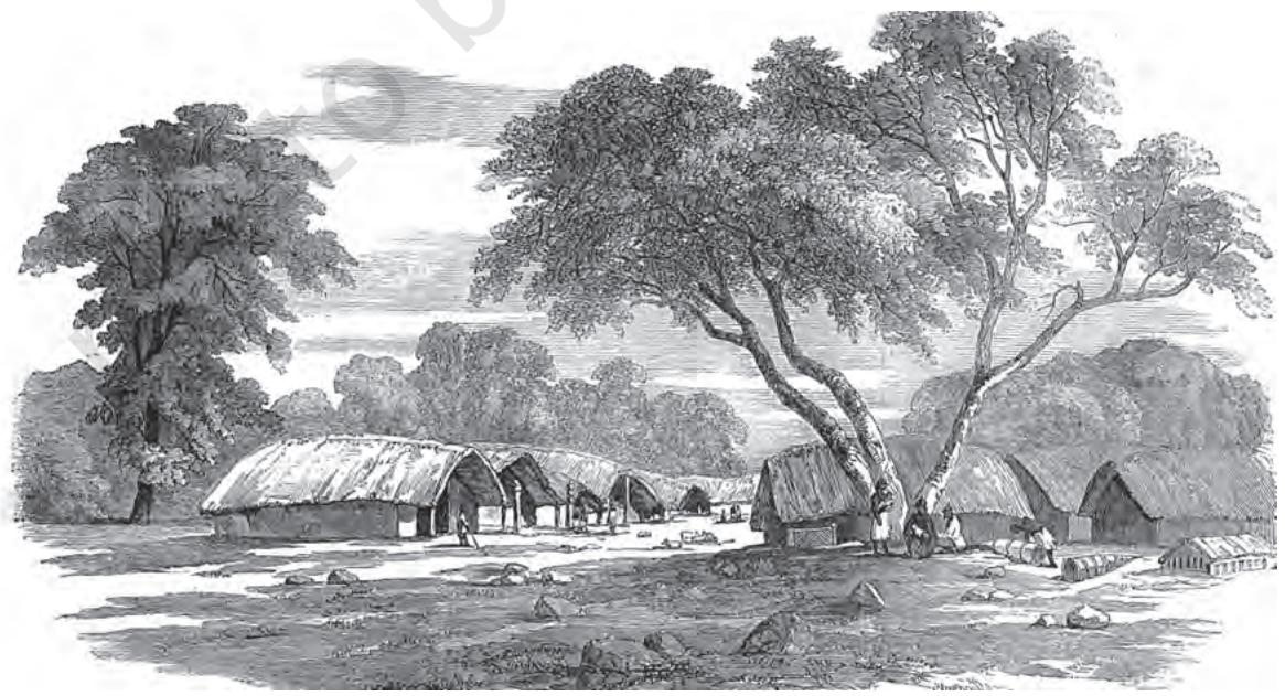 Fig. 9.10
Hill village in Santhal country,
Illustrated London News,
23 February 1856
This village in the lower Rajmahal
hills was sketched by Walter
Sherwill in the early 1850s.
The village appears to be peaceful,
calm and idyllic. Life seems
unaffected by the outside world.Contrast this image of the Santhal village with Fig. 9.12.