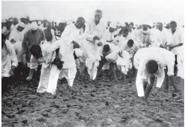 Fig. 11.7
Satyagrahis picking up natural salt at the end of the Dandi March, 6 April 1930